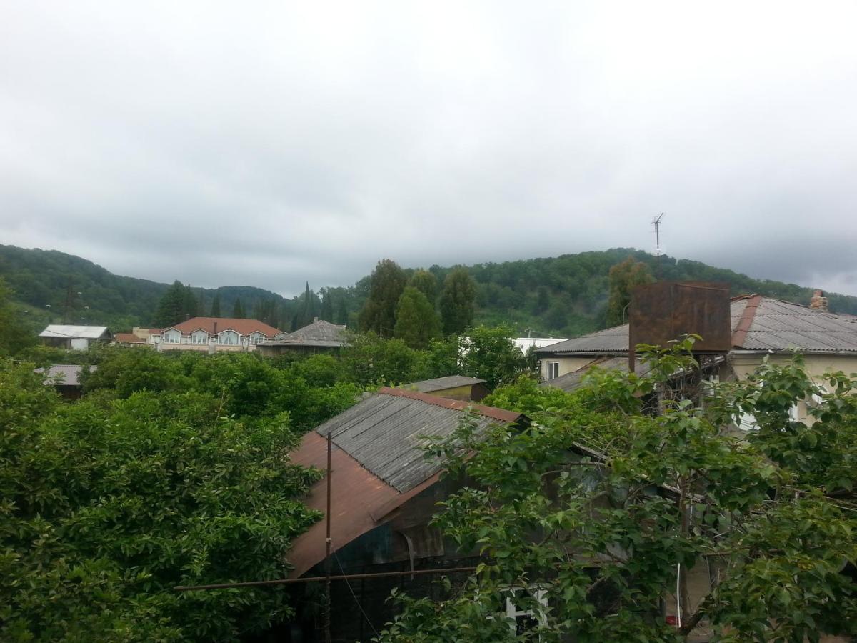Guest House Yuzhnaya Palmira Pizunda Exterior photo